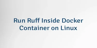 Run Ruff Inside Docker Container on Linux