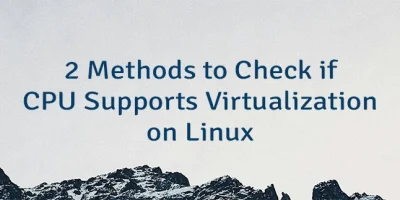 2 Methods to Check if CPU Supports Virtualization on Linux