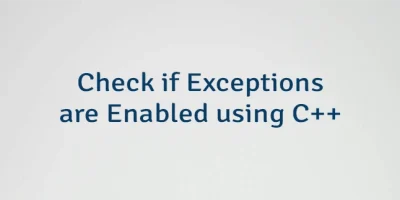 Check if Exceptions are Enabled using C++