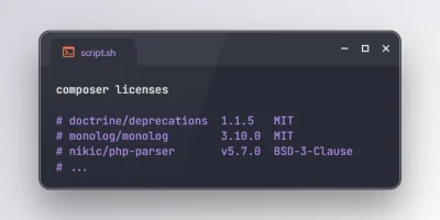 Get Licenses of PHP Packages using Composer