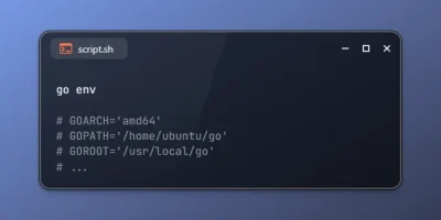 Get Go Environment Information