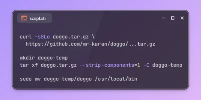 Install doggo DNS Lookup Tool on Ubuntu 26.04