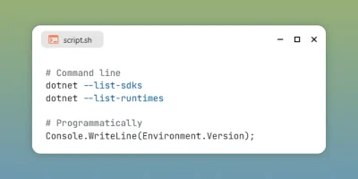 Check .NET Version