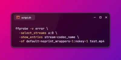 Get Audio Codec of File using FFmpeg