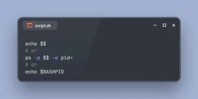 3 Methods to Get Shell PID on Linux