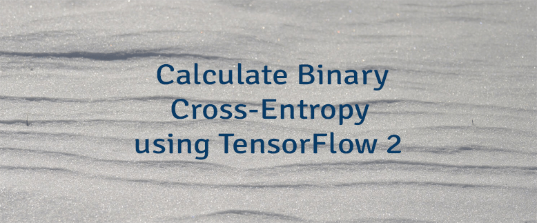 Calculate Binary Cross-Entropy using TensorFlow 2