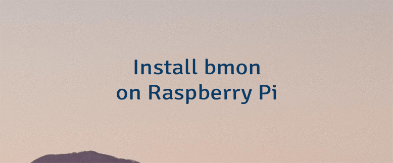 Install bmon on Raspberry Pi