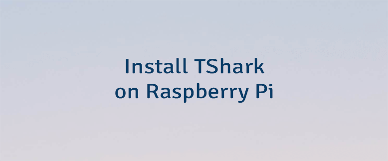 Install TShark on Raspberry Pi