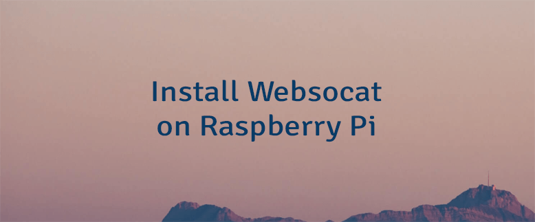 Install Websocat on Raspberry Pi