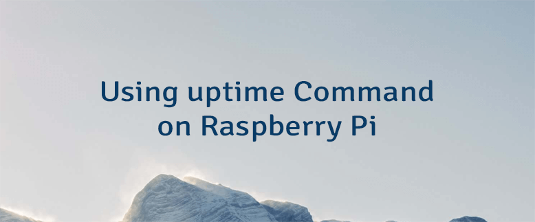 Using uptime Command on Raspberry Pi