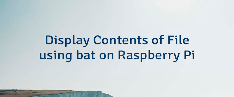 Display Contents of File using bat on Raspberry Pi
