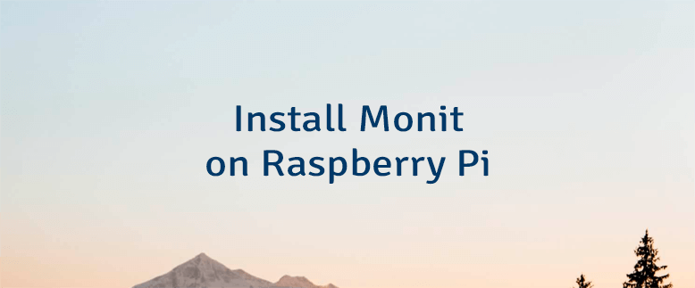 Install Monit on Raspberry Pi