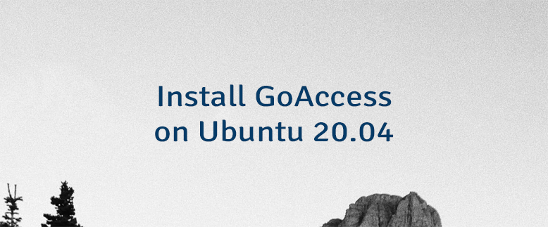 Install GoAccess on Ubuntu 20.04