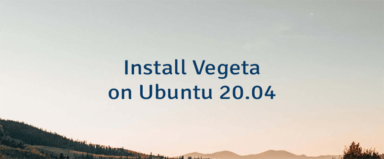 Install Vegeta on Ubuntu 20.04