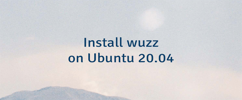 Install wuzz on Ubuntu 20.04