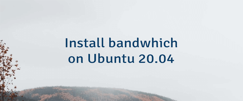 Install bandwhich on Ubuntu 20.04