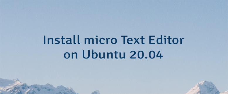 Install micro Text Editor on Ubuntu 20.04