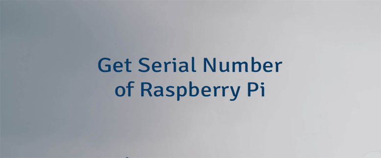 Get Serial Number of Raspberry Pi