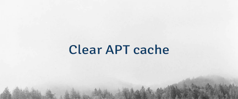 Clear APT Cache