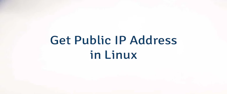 Get Public IP Address in Linux