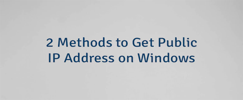 2 Methods to Get Public IP Address on Windows