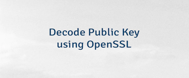 Decode Public Key using OpenSSL