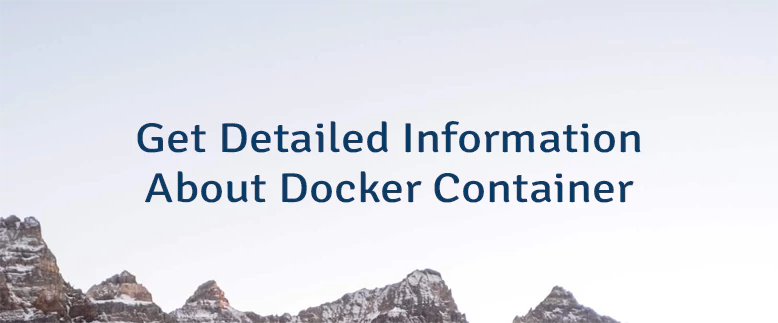 Get Detailed Information About Docker Container