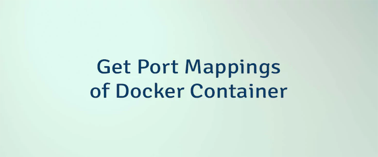 Get Port Mappings of Docker Container