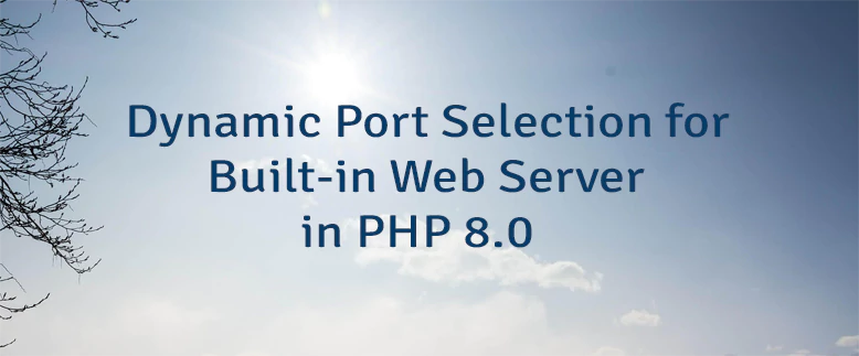 Dynamic Port Selection for Built-in Web Server in PHP 8.0