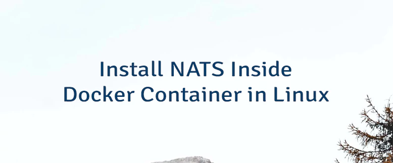 Install NATS Inside Docker Container in Linux
