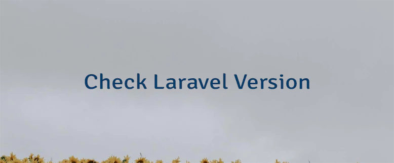 Check Laravel Version