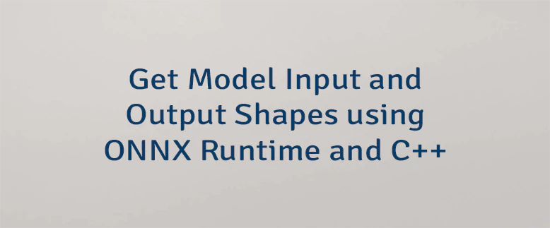 Get Model Input and Output Shapes using ONNX Runtime and C++