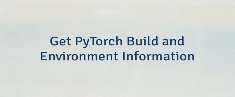 Get PyTorch Build and Environment Information