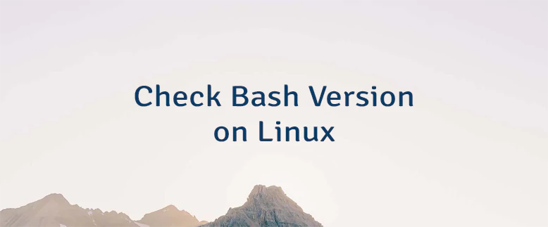 Check Bash Version on Linux
