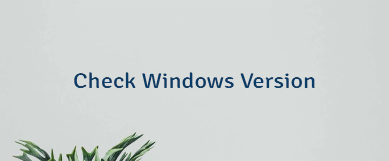 Check Windows Version