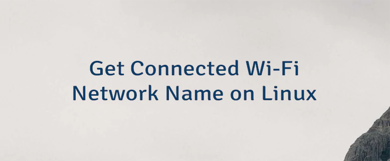 Get Connected Wi-Fi Network Name on Linux