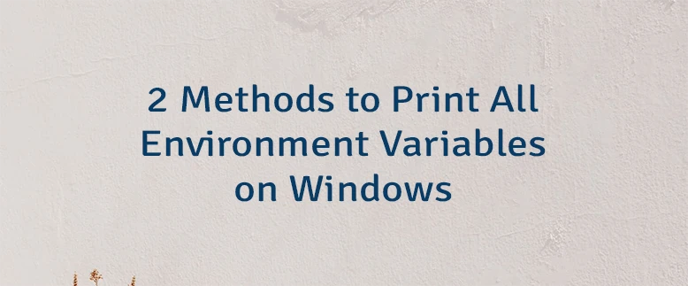 2 Methods to Print All Environment Variables on Windows