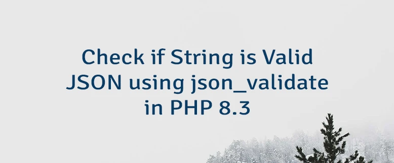 Check if String is Valid JSON using json_validate in PHP 8.3