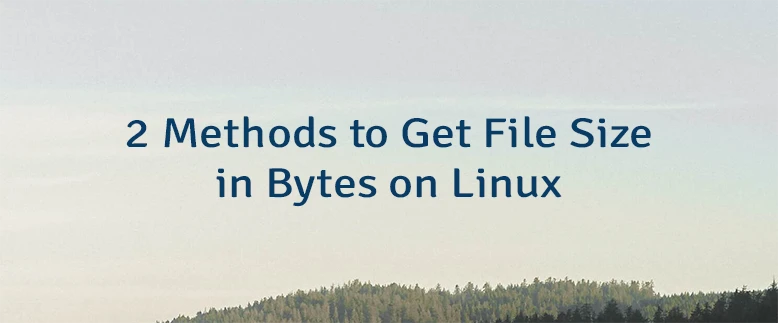2 Methods to Get File Size in Bytes on Linux