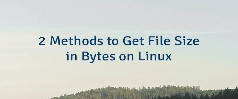 2 Methods to Get File Size in Bytes on Linux | Lindevs