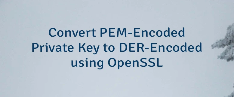 Convert PEM-Encoded Private Key to DER-Encoded using OpenSSL