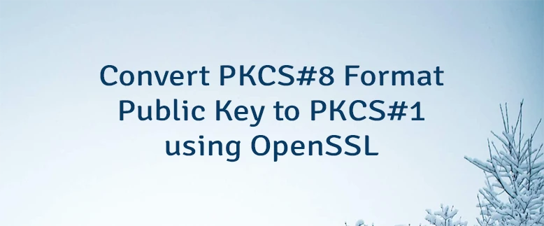 Convert PKCS#8 Format Public Key to PKCS#1 using OpenSSL