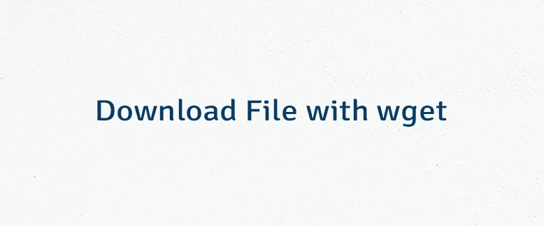 Download File with wget