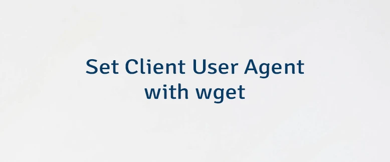 Set Client User Agent with wget