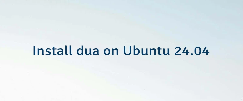 Install dua on Ubuntu 24.04