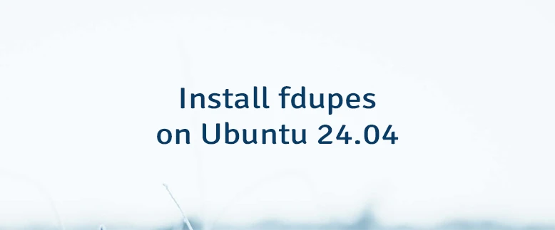 Install fdupes on Ubuntu 24.04