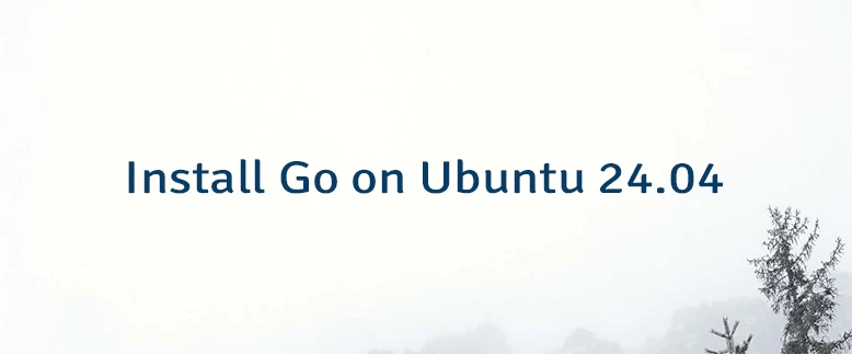 Install Go on Ubuntu 24.04