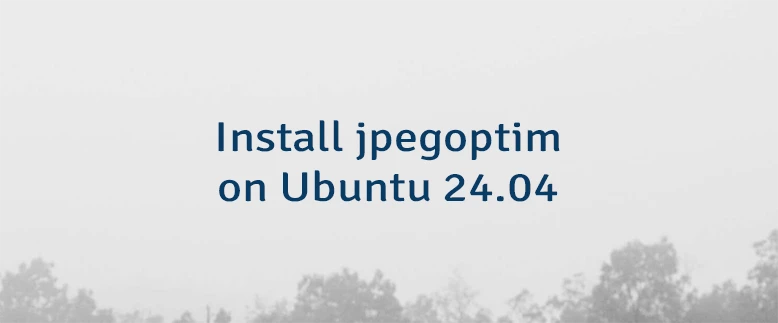 Install jpegoptim on Ubuntu 24.04