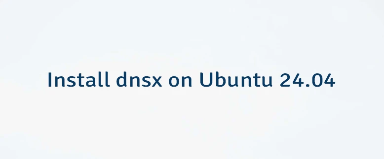 Install dnsx on Ubuntu 24.04