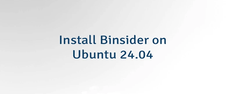 Install Binsider on Ubuntu 24.04